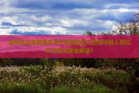 如何在北京到重庆李子坝轻轨站二日游中融入网红打卡地与美食体验？