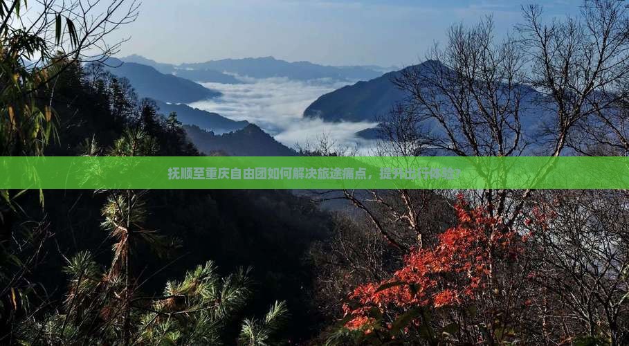 抚顺至重庆自由团如何解决旅途痛点，提升出行体验？