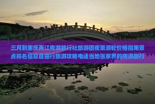 三月到重庆两江夜游旅行社旅游团夜景游轮价格指南景点排名信息自由行旅游攻略电话当地张家界的夜游旅行社