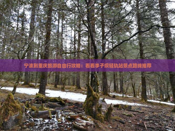 宁波到重庆旅游自由行攻略：看看李子坝轻轨站景点路线推荐
