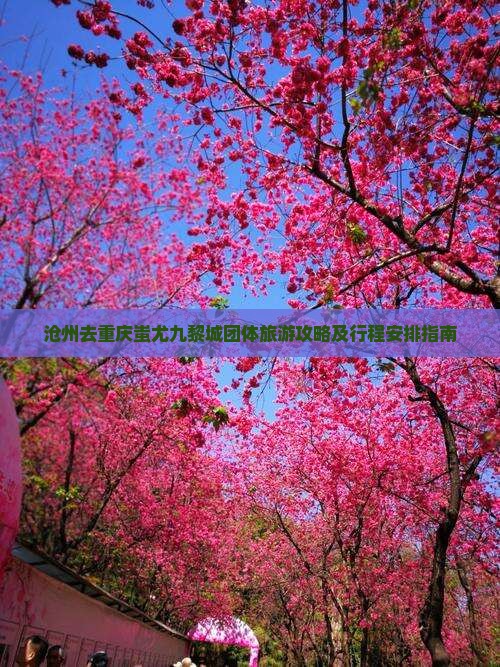 沧州去重庆蚩尤九黎城团体旅游攻略及行程安排指南
