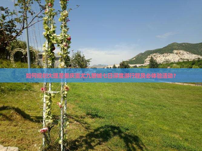 如何规划大理至重庆蚩尤九黎城七日深度游行程及必体验活动？