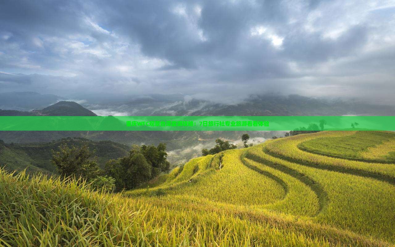 重庆WFC观景台深度游攻略：7日旅行社专业旅游看看体验