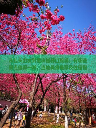 从包头出发到重庆磁器口旅游，有哪些景点值得一游，当地美食推荐及住宿指南？