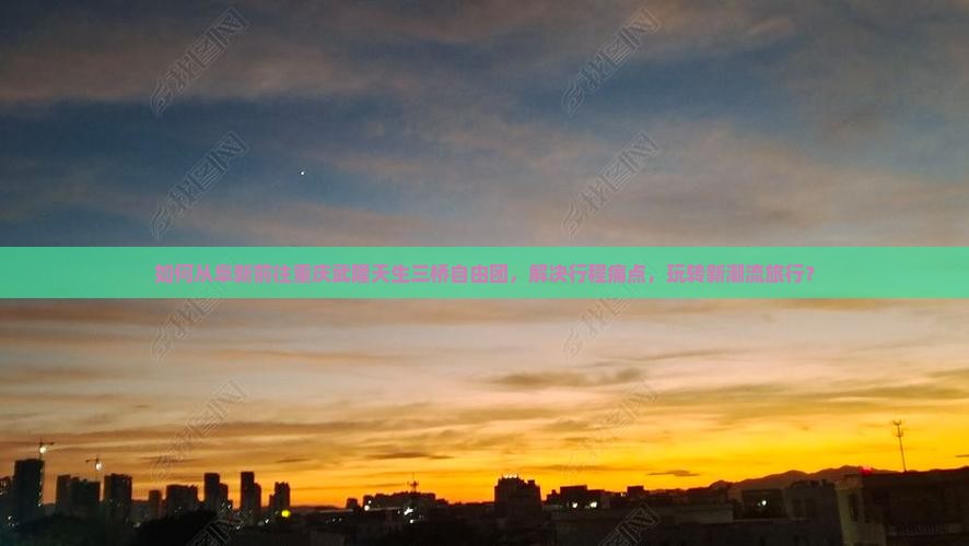 如何从阜新前往重庆武隆天生三桥自由团，解决行程痛点，玩转新潮流旅行？