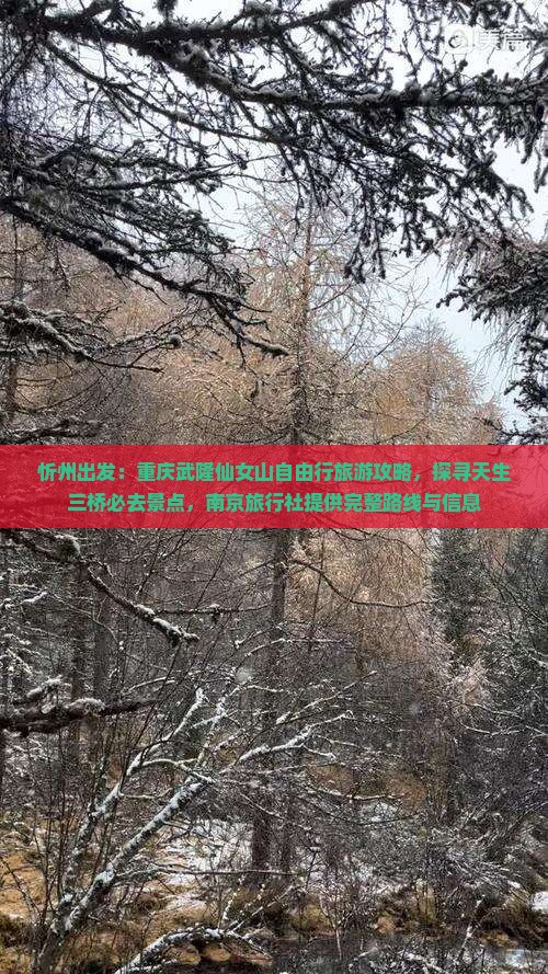 忻州出发：重庆武隆仙女山自由行旅游攻略，探寻天生三桥必去景点，南京旅行社提供完整路线与信息