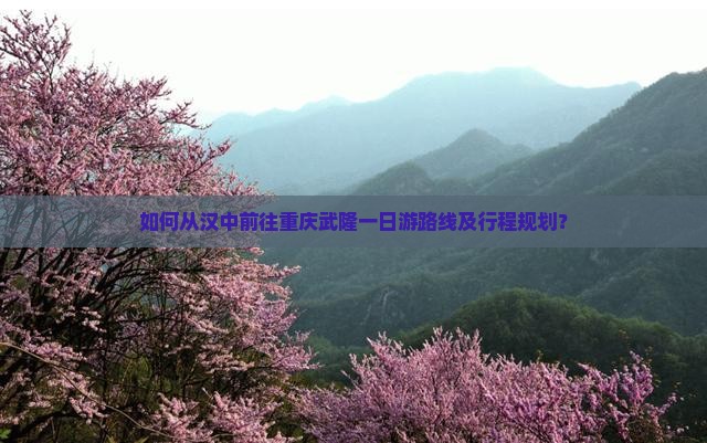如何从汉中前往重庆武隆一日游路线及行程规划？