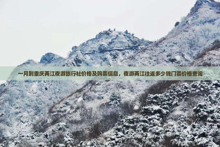 一月到重庆两江夜游旅行社价格及购票信息，夜游两江往返多少钱门票价格查询