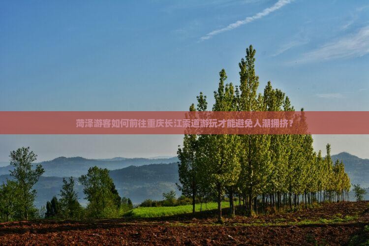 菏泽游客如何前往重庆长江索道游玩才能避免人潮拥挤？
