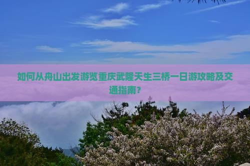如何从舟山出发游览重庆武隆天生三桥一日游攻略及交通指南？