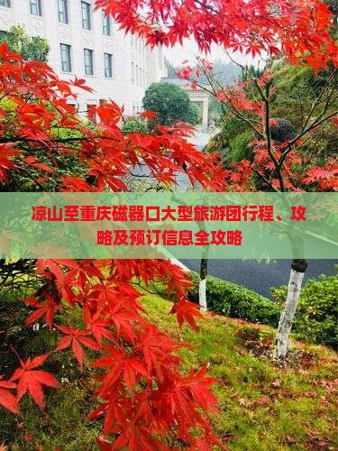 凉山至重庆磁器口大型旅游团行程、攻略及预订信息全攻略