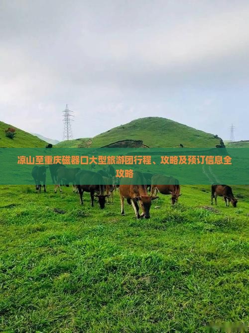 凉山至重庆磁器口大型旅游团行程、攻略及预订信息全攻略