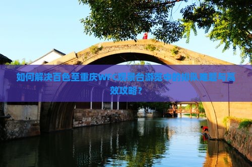 如何解决百色至重庆WFC观景台游览中的排队难题与高效攻略？