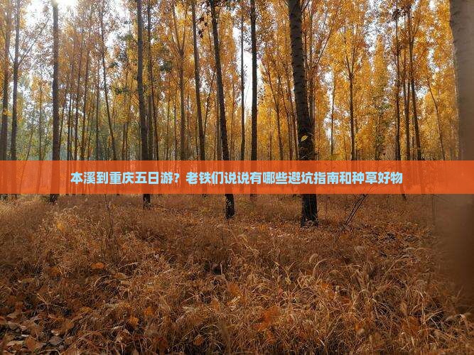 本溪到重庆五日游？老铁们说说有哪些避坑指南和种草好物