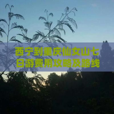 西宁到重庆仙女山七日游费用攻略及路线推荐