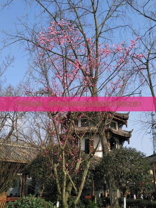 六日游攻略：赣州出发如何规划重庆两江夜游之旅？