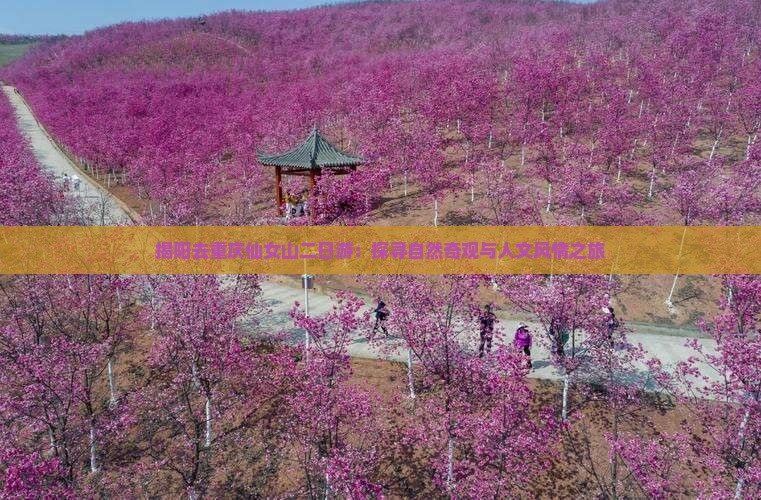 揭阳去重庆仙女山二日游：探寻自然奇观与人文风情之旅