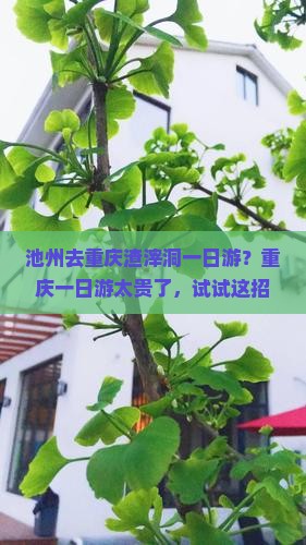池州去重庆渣滓洞一日游？重庆一日游太贵了，试试这招！