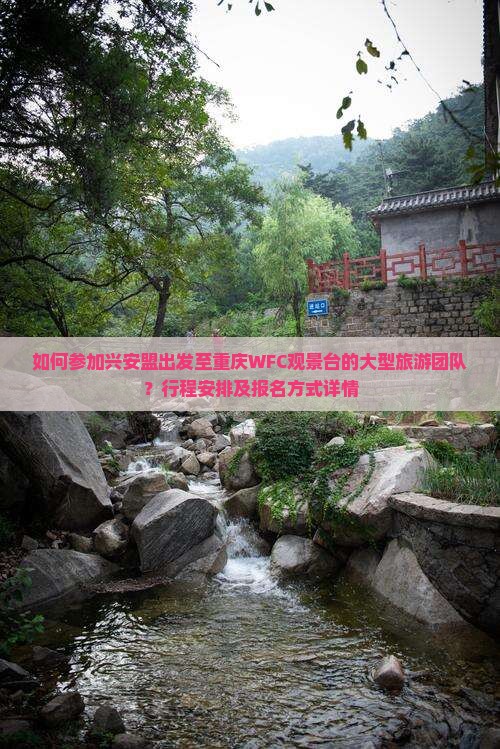 如何参加兴安盟出发至重庆WFC观景台的大型旅游团队？行程安排及报名方式详情