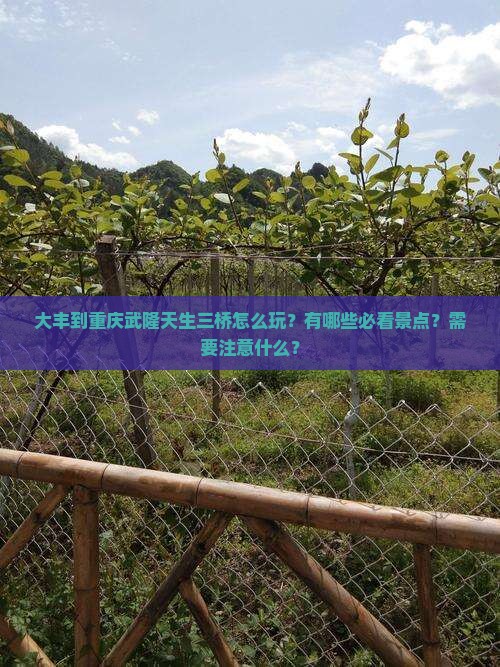 大丰到重庆武隆天生三桥怎么玩？有哪些必看景点？需要注意什么？
