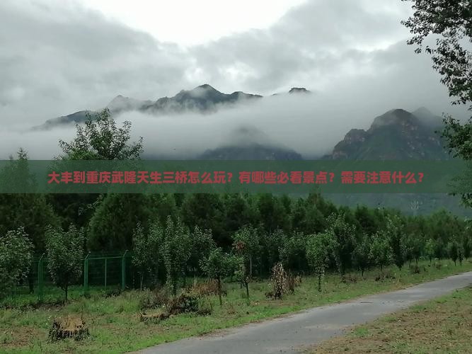 大丰到重庆武隆天生三桥怎么玩？有哪些必看景点？需要注意什么？