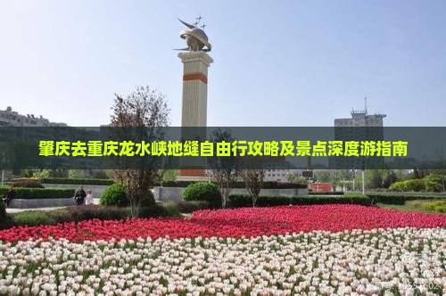 肇庆去重庆龙水峡地缝自由行攻略及景点深度游指南