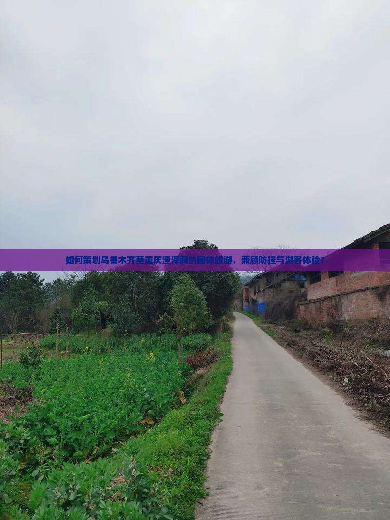 如何策划乌鲁木齐至重庆渣滓洞的团体旅游，兼顾防控与游客体验？