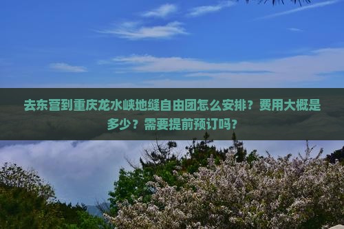 去东营到重庆龙水峡地缝自由团怎么安排？费用大概是多少？需要提前预订吗？