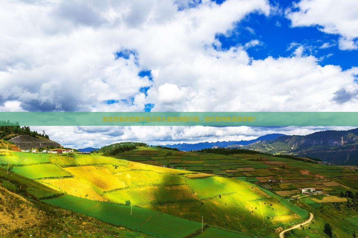 宜昌至重庆武隆天生三桥大型旅游团行程、报价及特色活动详情？