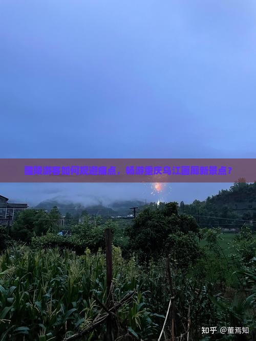 醴陵游客如何规避痛点，畅游重庆乌江画廊新景点？