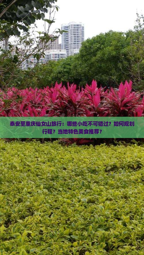 泰安至重庆仙女山旅行：哪些小吃不可错过？如何规划行程？当地特色美食推荐？