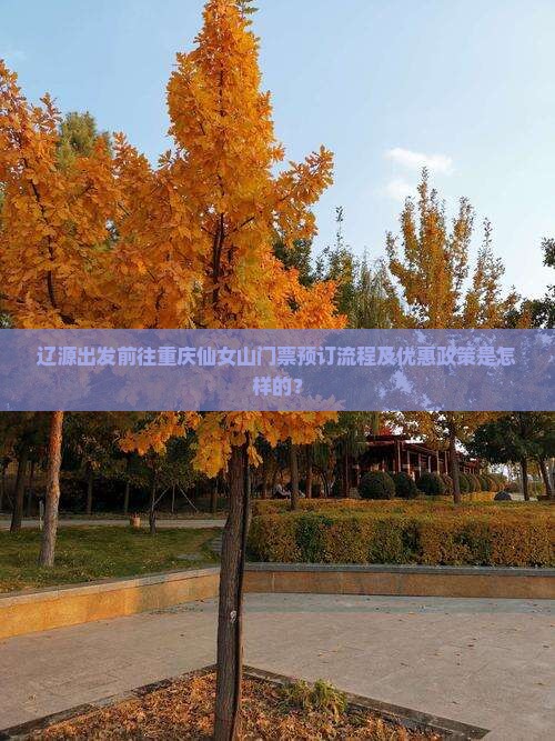 辽源出发前往重庆仙女山门票预订流程及优惠政策是怎样的？