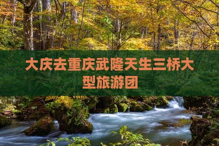 大庆去重庆武隆天生三桥大型旅游团