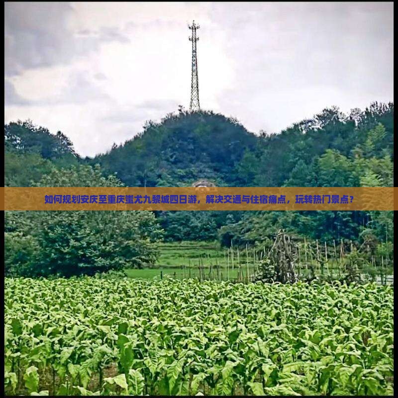 如何规划安庆至重庆蚩尤九黎城四日游，解决交通与住宿痛点，玩转热门景点？