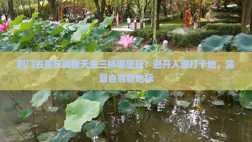 荆门去重庆武隆天生三桥哪里玩？避开人潮打卡地，露营自驾新地标