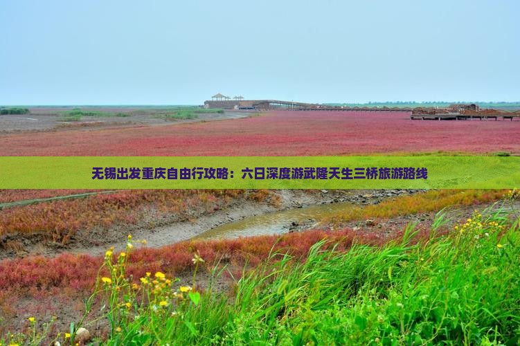 无锡出发重庆自由行攻略：六日深度游武隆天生三桥旅游路线