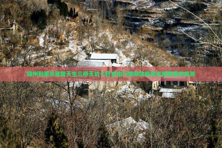 锦州到重庆武隆天生三桥天坑七日自由行旅游攻略景点推荐重庆旅游