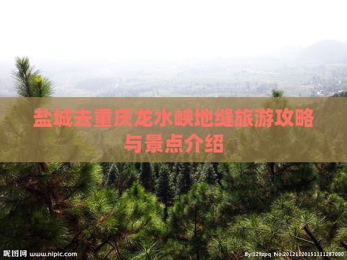 盐城去重庆龙水峡地缝旅游攻略与景点介绍