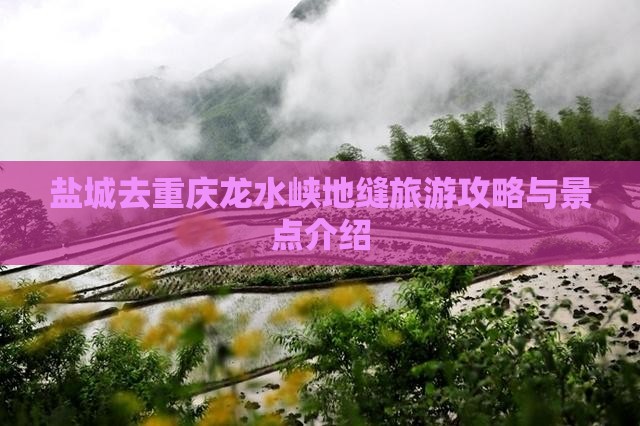 盐城去重庆龙水峡地缝旅游攻略与景点介绍