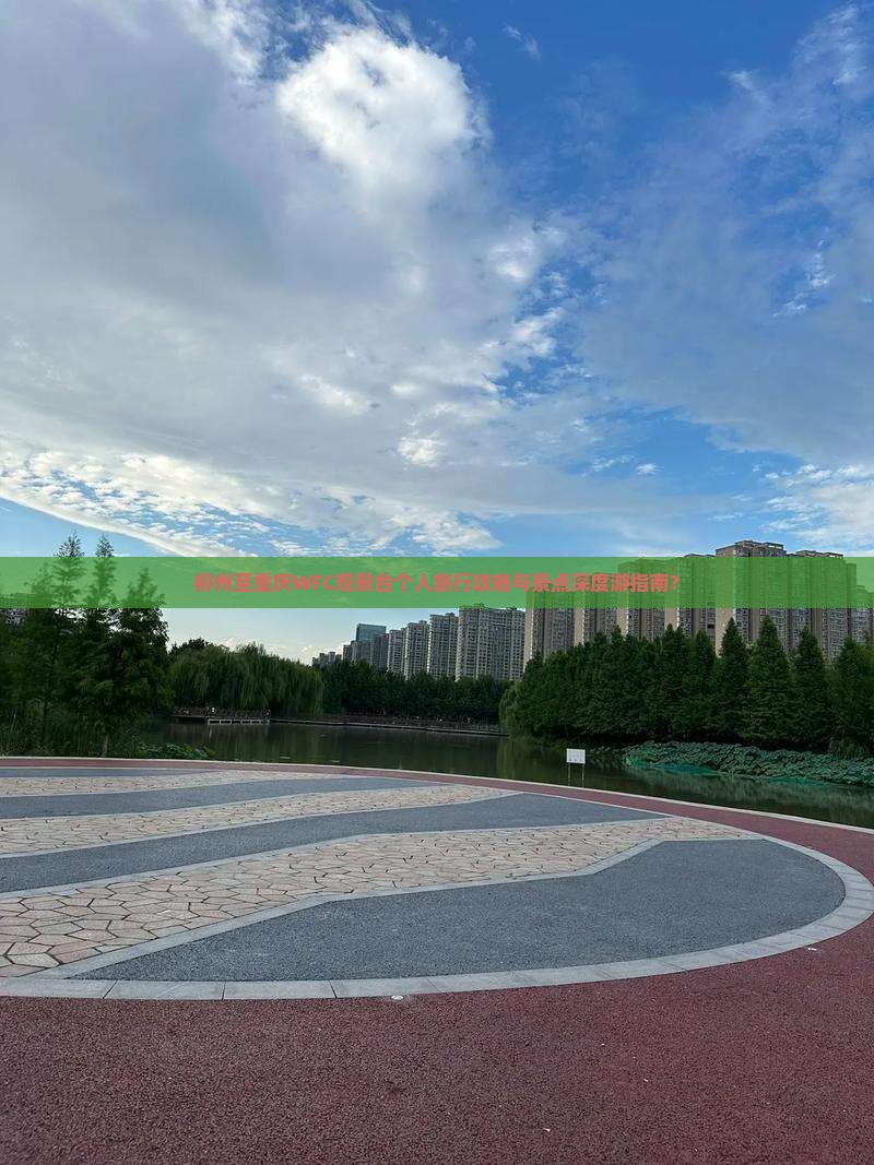 柳州至重庆WFC观景台个人旅行攻略与景点深度游指南？