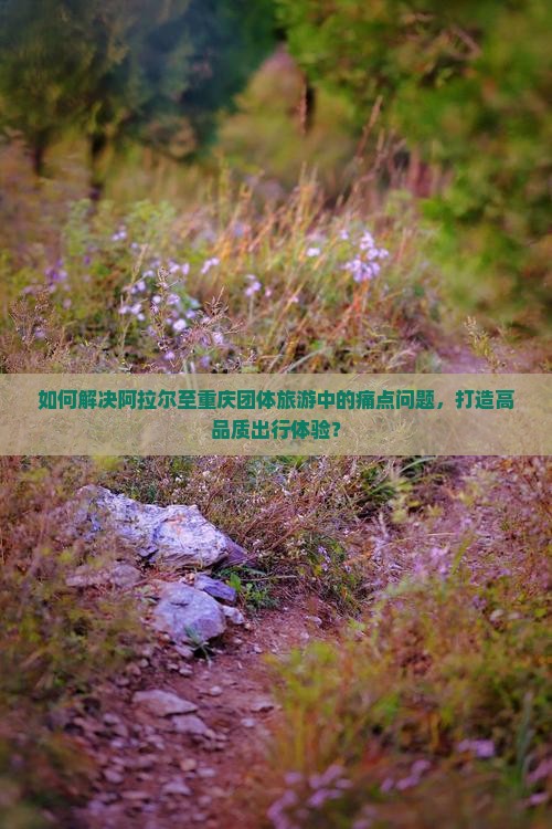 如何解决阿拉尔至重庆团体旅游中的痛点问题，打造高品质出行体验？