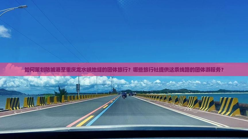 如何策划防城港至重庆龙水峡地缝的团体旅行？哪些旅行社提供这条线路的团体游服务？