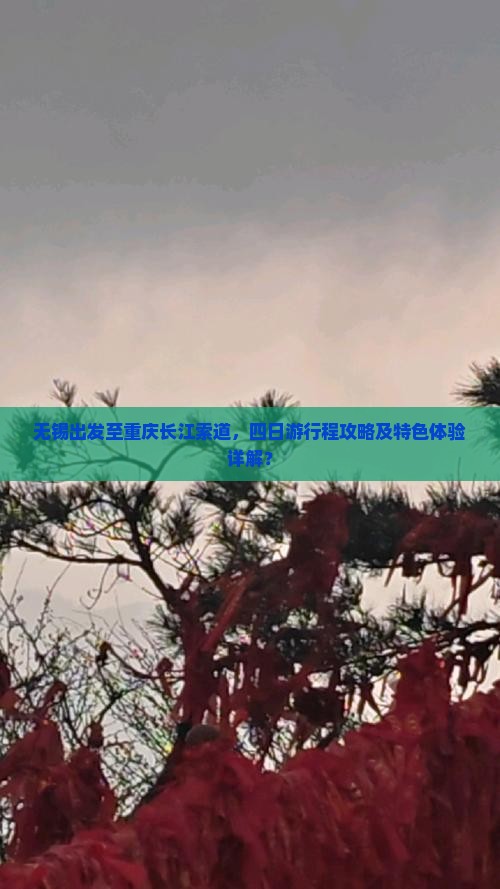 无锡出发至重庆长江索道，四日游行程攻略及特色体验详解？