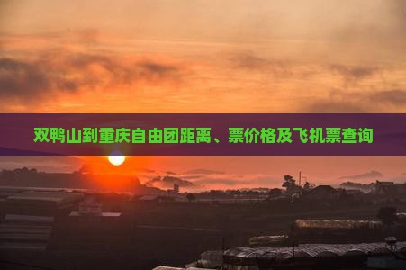 双鸭山到重庆自由团距离、票价格及飞机票查询