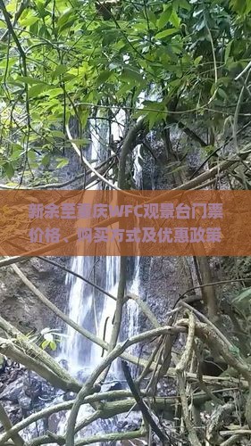 新余至重庆WFC观景台门票价格、购买方式及优惠政策详解？