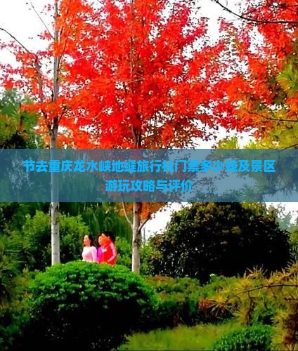 节去重庆龙水峡地缝旅行社门票多少钱及景区游玩攻略与评价