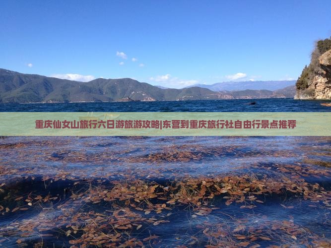 重庆仙女山旅行六日游旅游攻略|东营到重庆旅行社自由行景点推荐