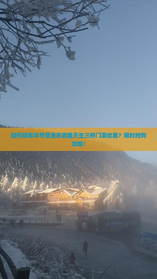如何获取毕节至重庆武隆天生三桥门票优惠？限时抢购攻略！