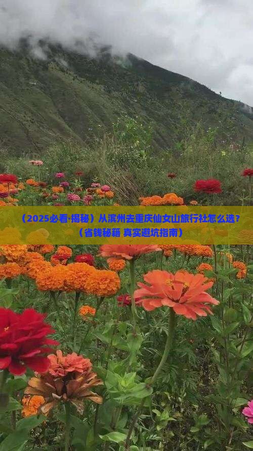 滨州去重庆仙女山旅行社