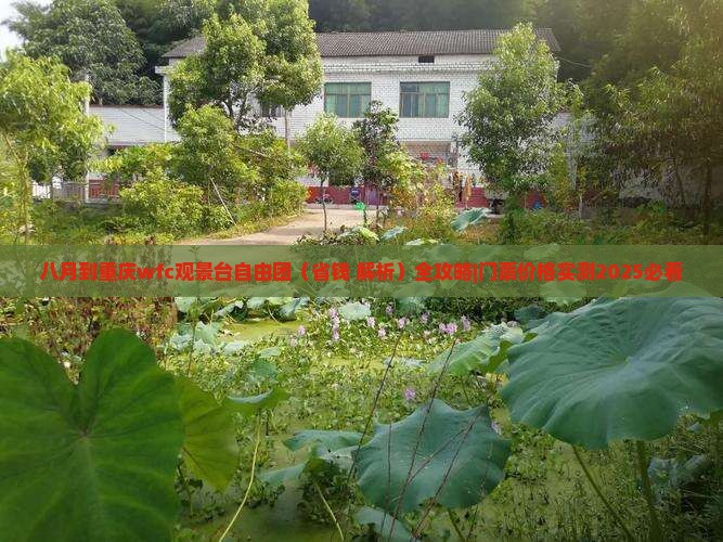 八月到重庆wfc观景台自由团